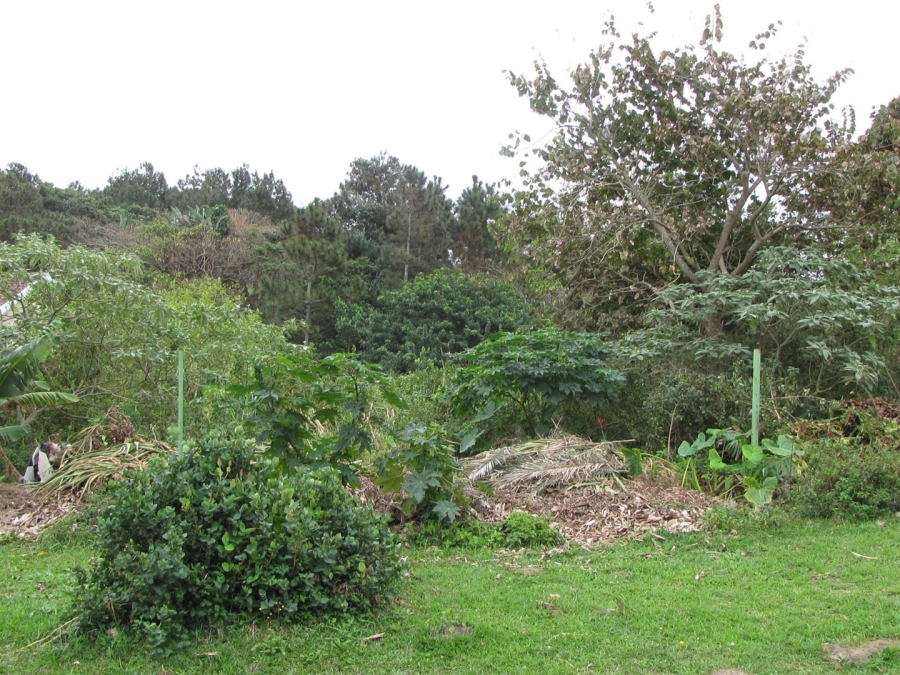 Commercial Property for Sale in Hibberdene KwaZulu-Natal