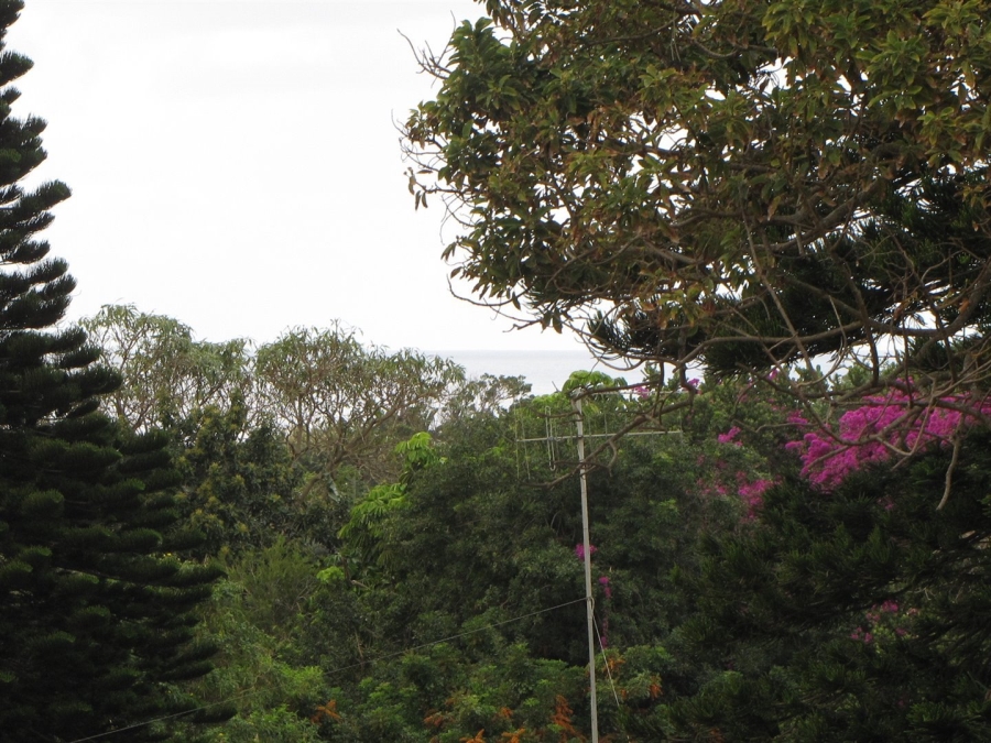 Commercial Property for Sale in Hibberdene KwaZulu-Natal