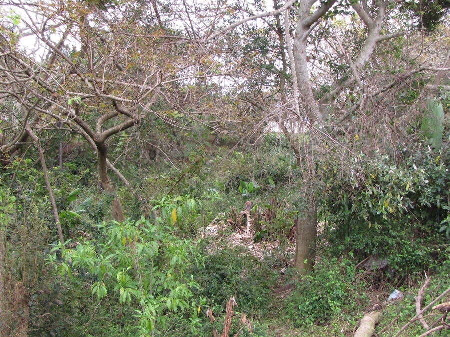 Commercial Property for Sale in Hibberdene KwaZulu-Natal