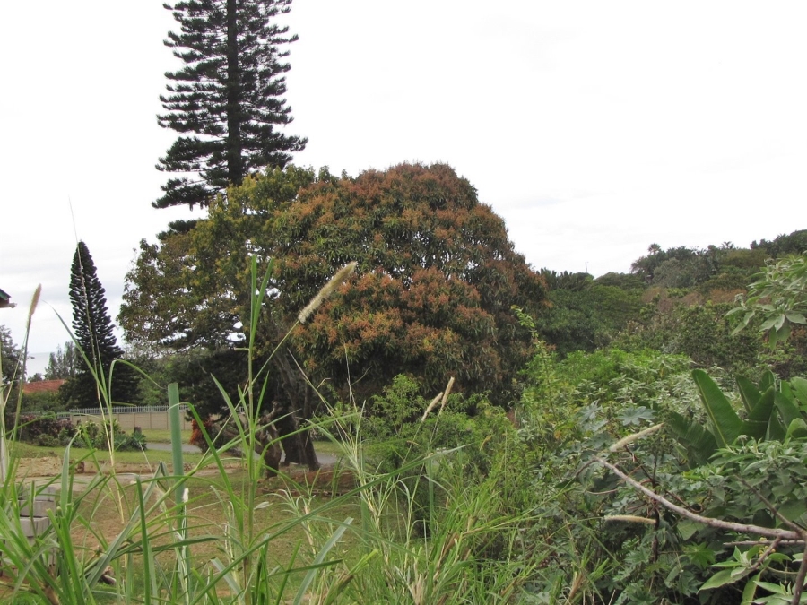 Commercial Property for Sale in Hibberdene KwaZulu-Natal