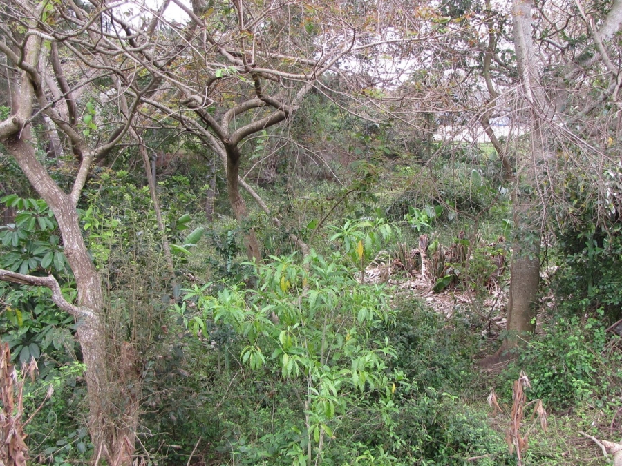 Commercial Property for Sale in Hibberdene KwaZulu-Natal