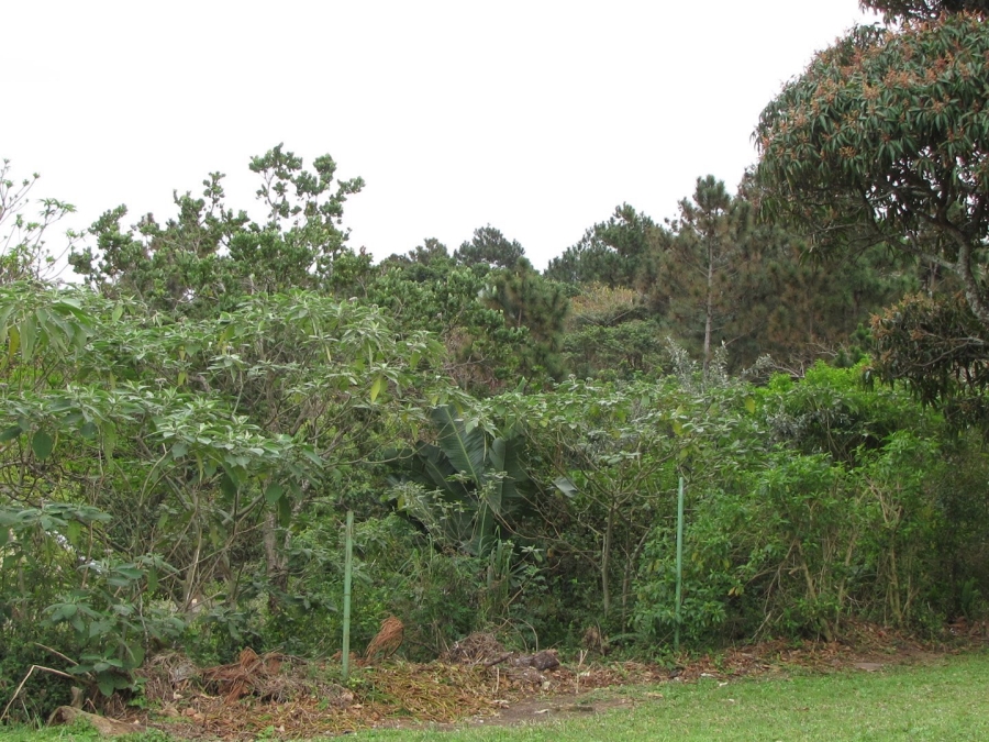 Commercial Property for Sale in Hibberdene KwaZulu-Natal