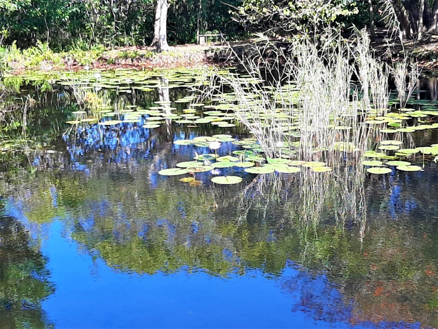 Commercial Property for Sale in Glenmore KwaZulu-Natal