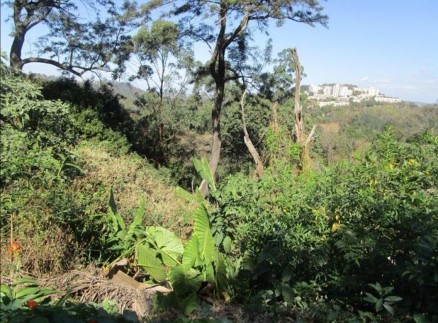 0 Bedroom Property for Sale in Cowies Hill KwaZulu-Natal