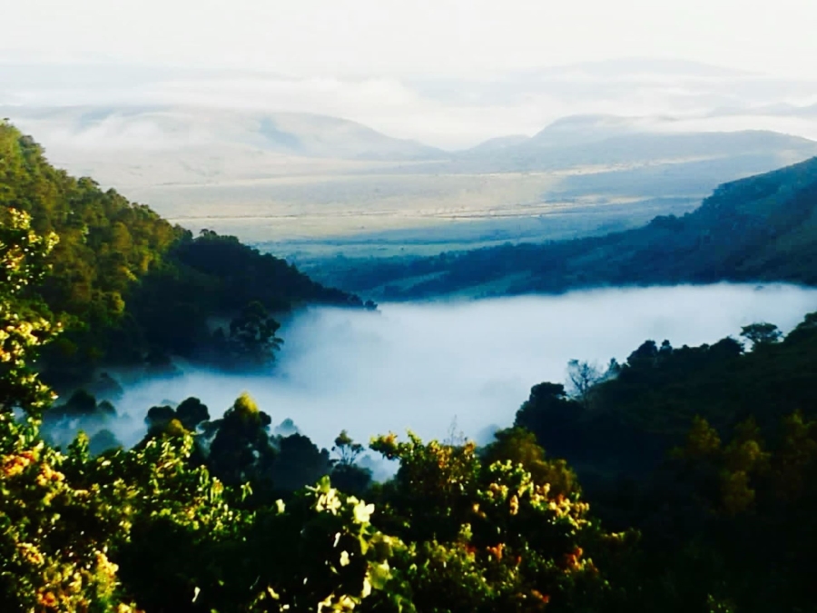 3 Bedroom Property for Sale in Louwsburg KwaZulu-Natal