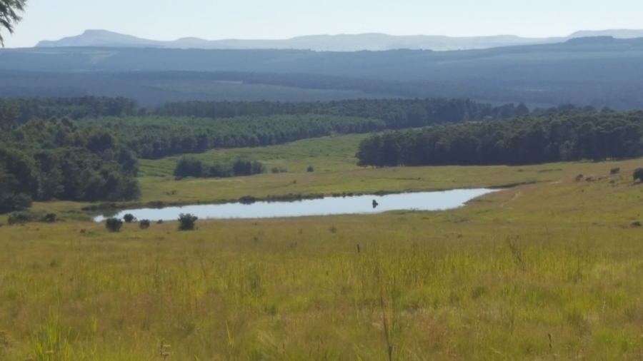 3 Bedroom Property for Sale in Vryheid KwaZulu-Natal