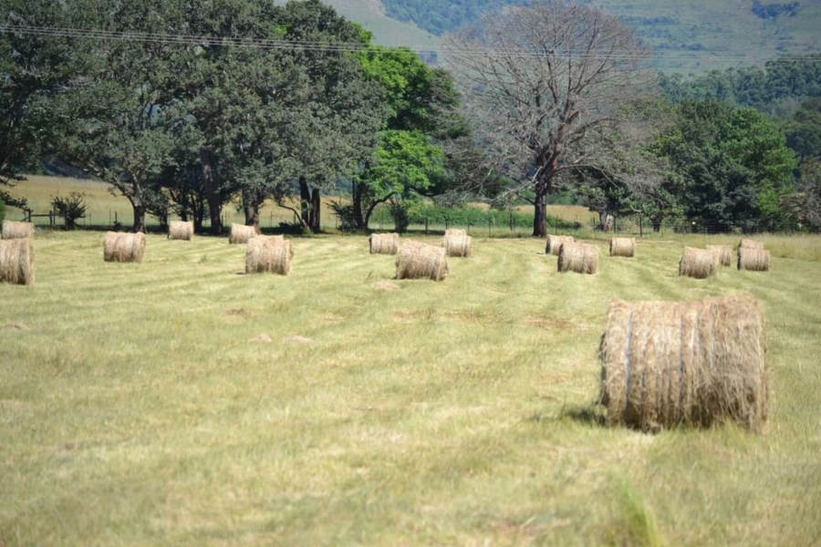 3 Bedroom Property for Sale in Vryheid KwaZulu-Natal