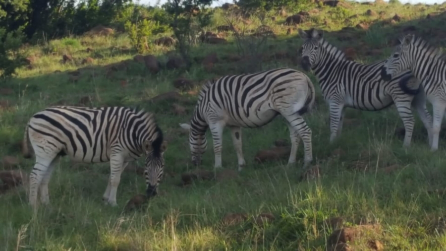 3 Bedroom Property for Sale in Vryheid KwaZulu-Natal