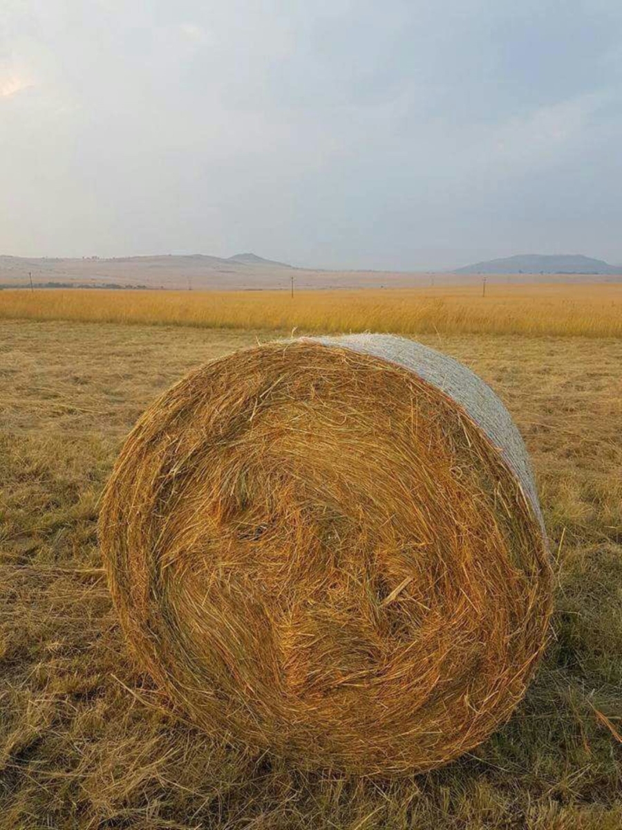 3 Bedroom Property for Sale in Vryheid KwaZulu-Natal