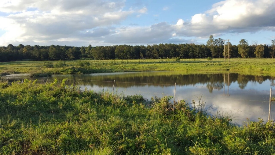 3 Bedroom Property for Sale in Vryheid KwaZulu-Natal