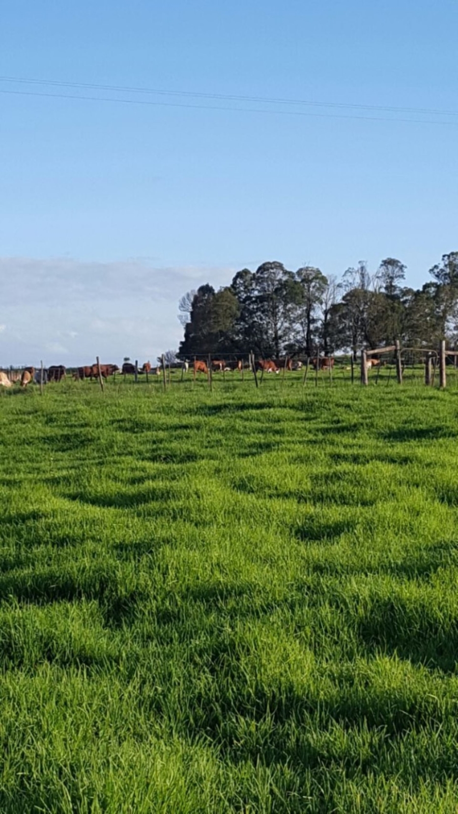 3 Bedroom Property for Sale in Vryheid KwaZulu-Natal