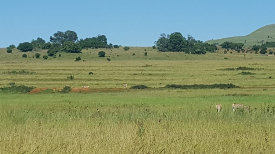 3 Bedroom Property for Sale in Vryheid KwaZulu-Natal