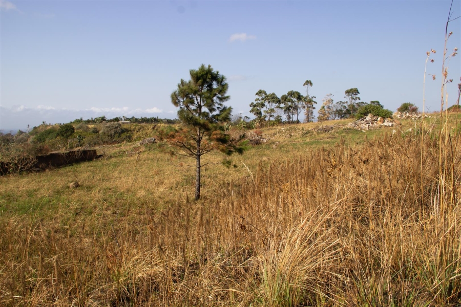 Commercial Property for Sale in Margate KwaZulu-Natal