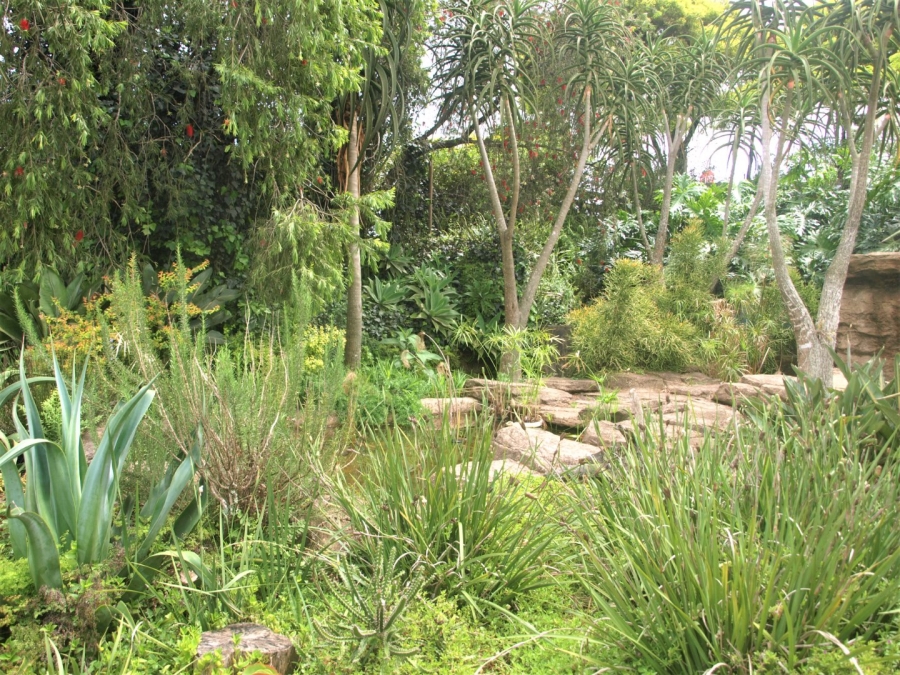 Commercial Property for Sale in Bothas Hill KwaZulu-Natal