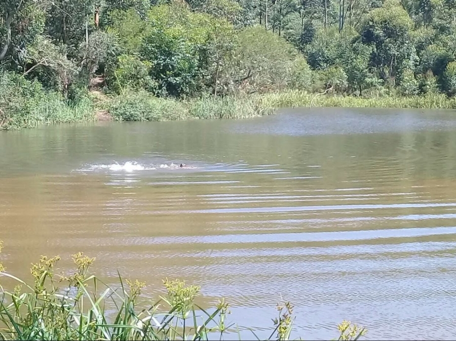 Commercial Property for Sale in Bothas Hill KwaZulu-Natal