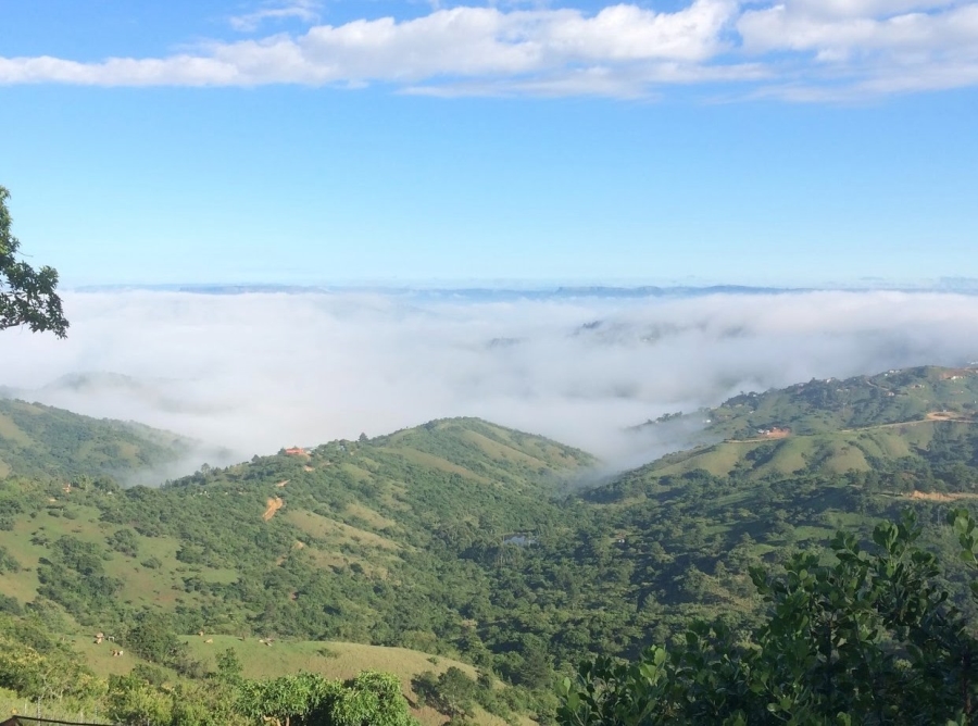 Commercial Property for Sale in Bothas Hill KwaZulu-Natal