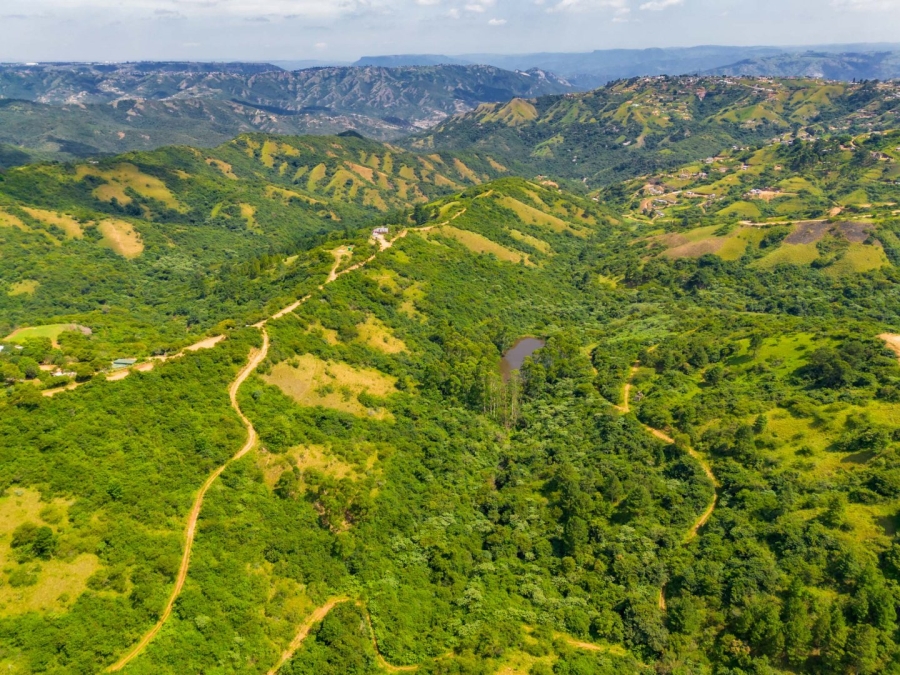 Commercial Property for Sale in Bothas Hill KwaZulu-Natal