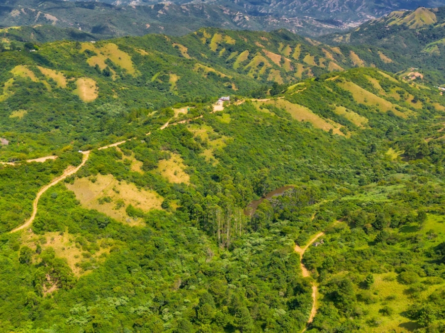 Commercial Property for Sale in Bothas Hill KwaZulu-Natal