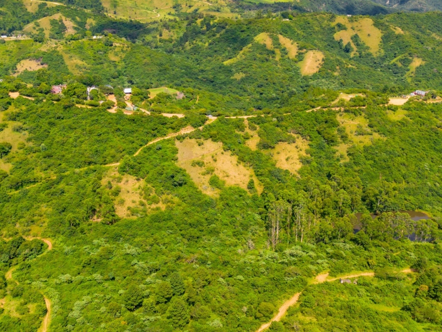 Commercial Property for Sale in Bothas Hill KwaZulu-Natal