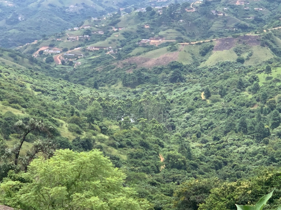 Commercial Property for Sale in Bothas Hill KwaZulu-Natal