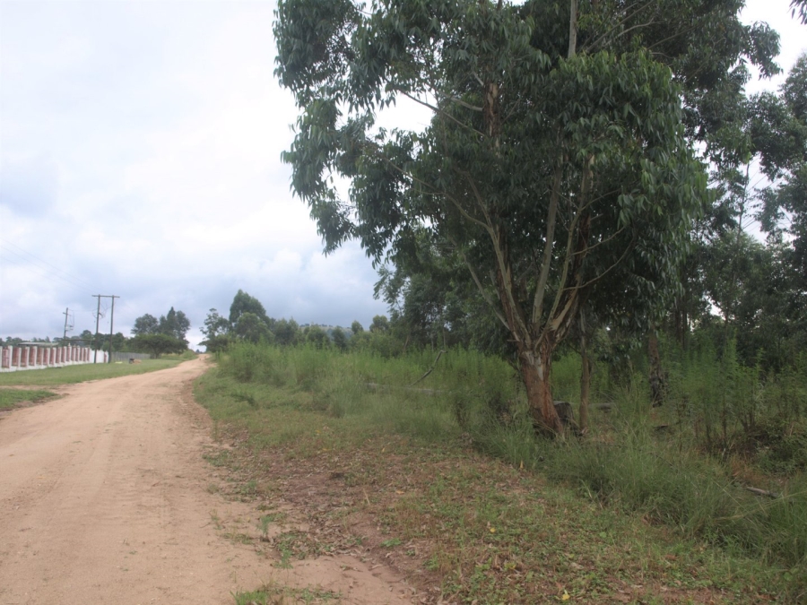 Commercial Property for Sale in Cliffdale KwaZulu-Natal