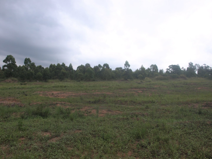 Commercial Property for Sale in Cliffdale KwaZulu-Natal