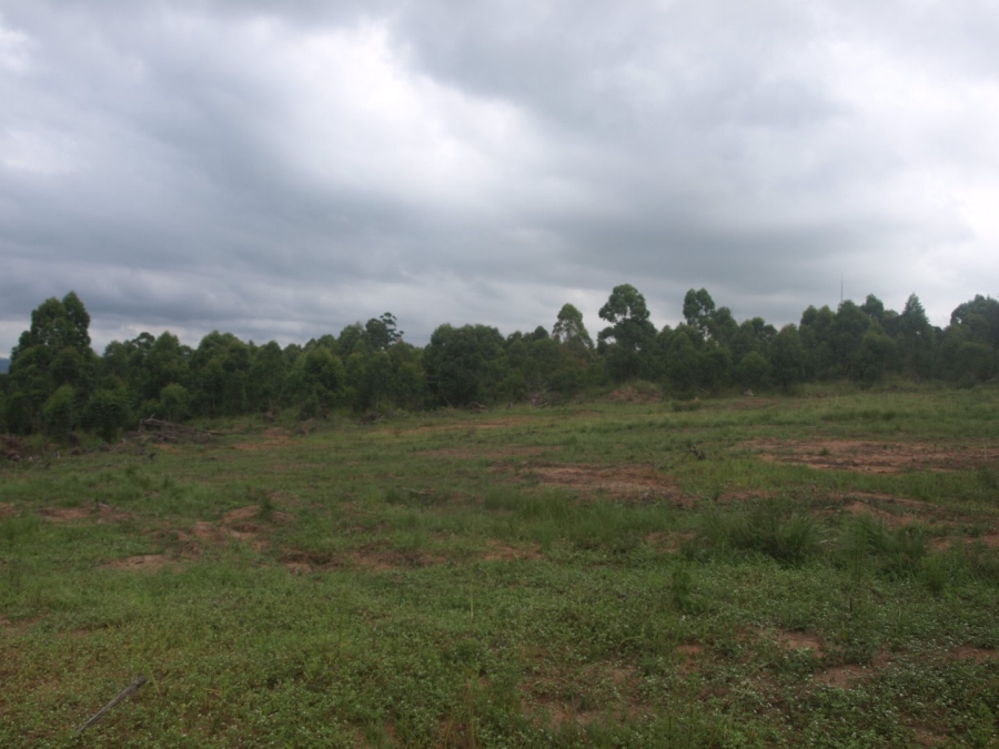 Commercial Property for Sale in Cliffdale KwaZulu-Natal