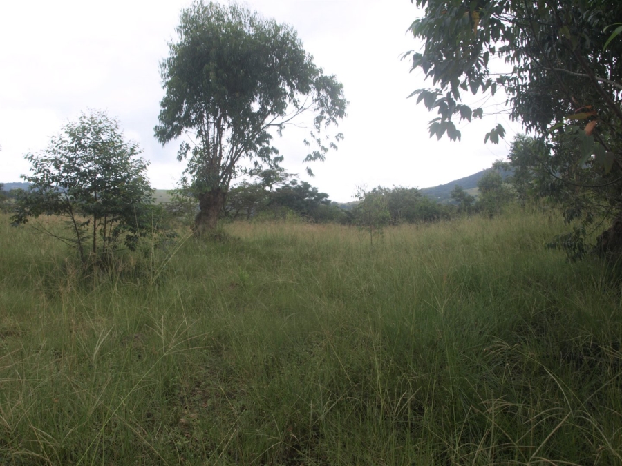 Commercial Property for Sale in Cliffdale KwaZulu-Natal