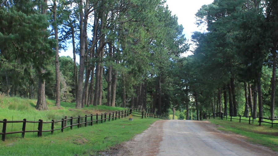 Commercial Property for Sale in Nottingham Road KwaZulu-Natal