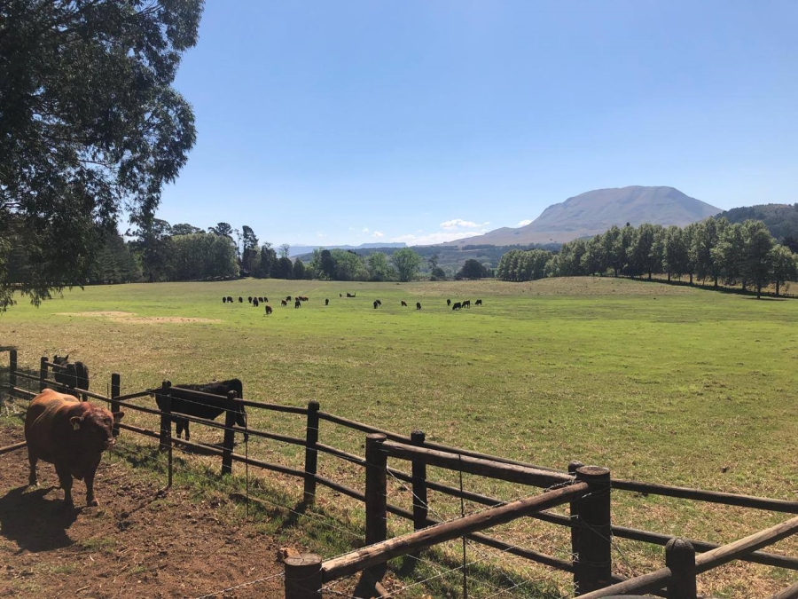 Commercial Property for Sale in Nottingham Road KwaZulu-Natal