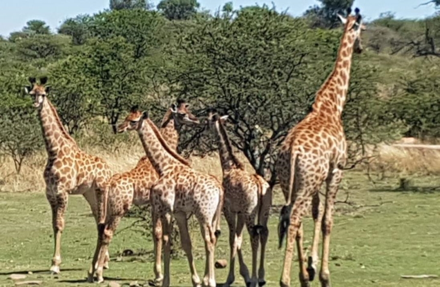 8 Bedroom Property for Sale in Estcourt Rural KwaZulu-Natal