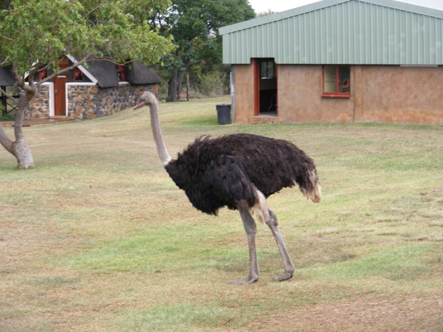 8 Bedroom Property for Sale in Estcourt Rural KwaZulu-Natal