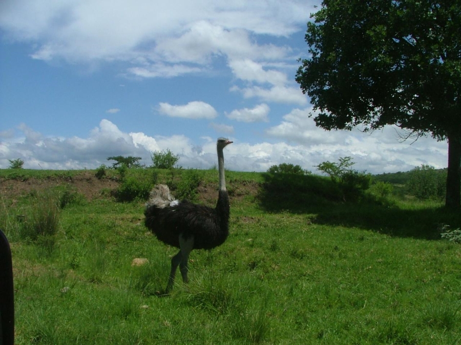 8 Bedroom Property for Sale in Estcourt Rural KwaZulu-Natal