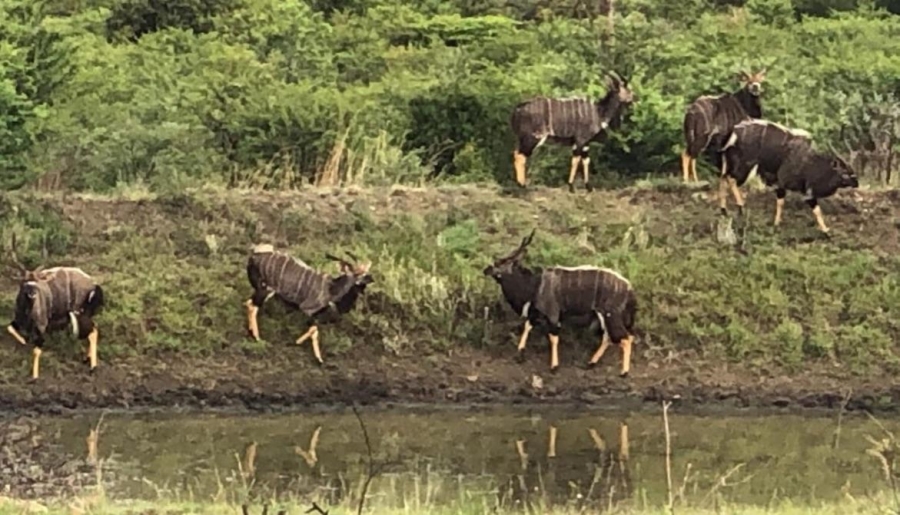 8 Bedroom Property for Sale in Estcourt Rural KwaZulu-Natal