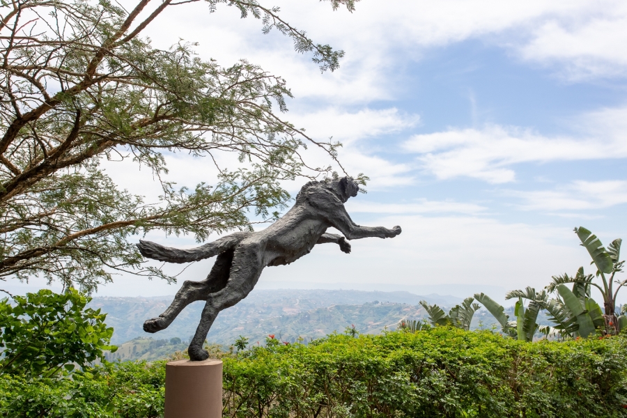 3 Bedroom Property for Sale in Phezulu KwaZulu-Natal