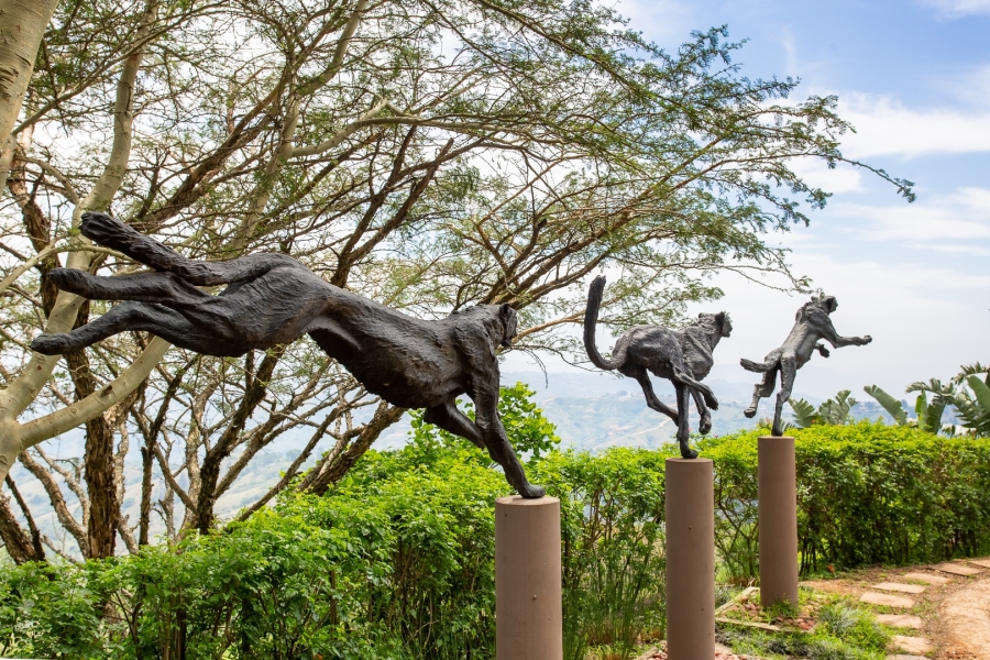 3 Bedroom Property for Sale in Phezulu KwaZulu-Natal