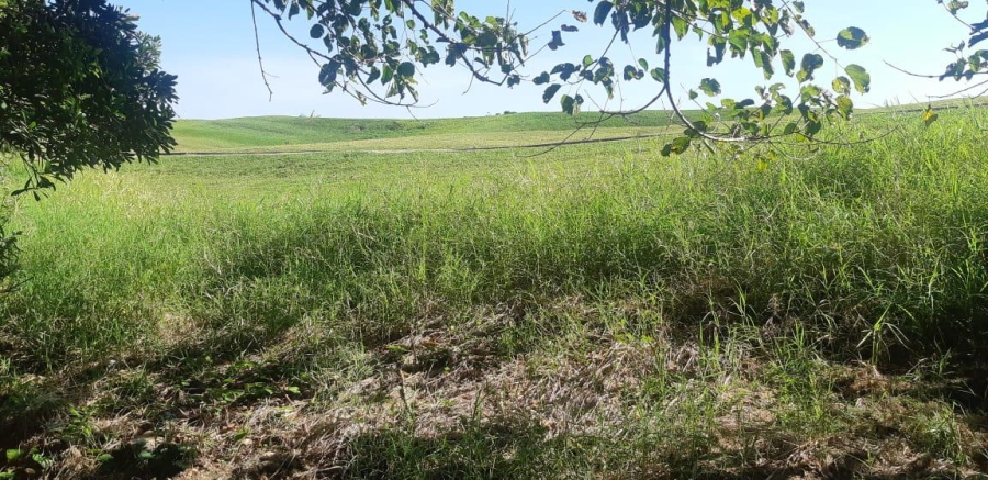 0 Bedroom Property for Sale in Prince