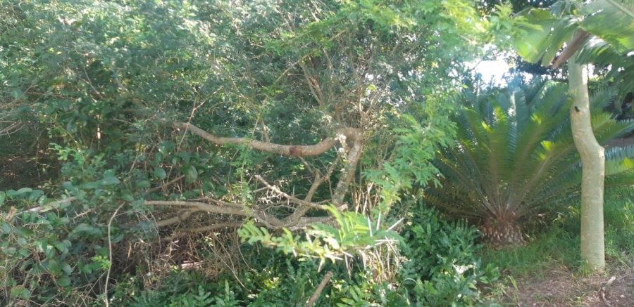 0 Bedroom Property for Sale in Prince