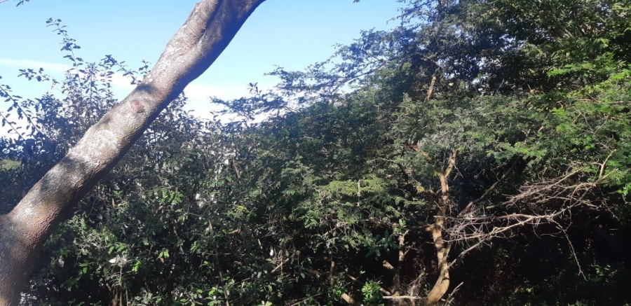 0 Bedroom Property for Sale in Prince