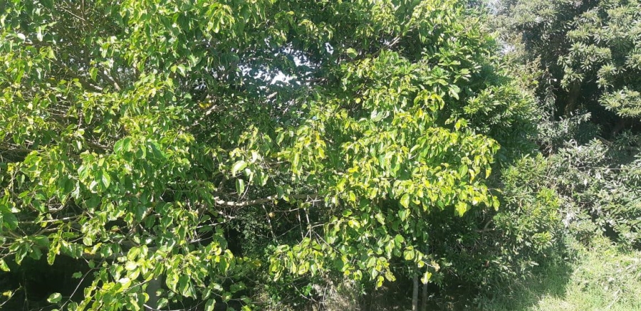 0 Bedroom Property for Sale in Prince