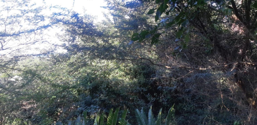 0 Bedroom Property for Sale in Prince