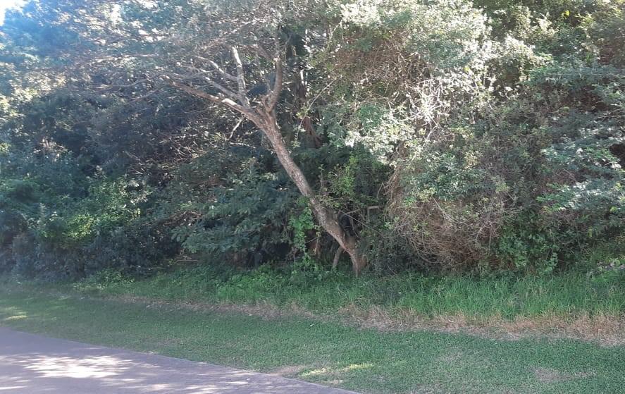 0 Bedroom Property for Sale in Prince