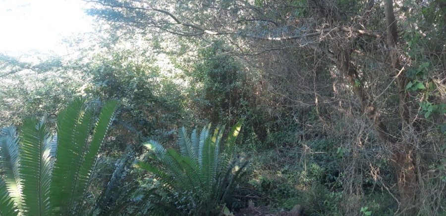 0 Bedroom Property for Sale in Prince