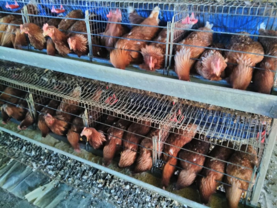 8 Bedroom Property for Sale in Dundee KwaZulu-Natal