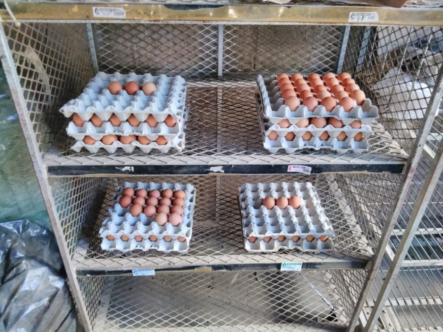 8 Bedroom Property for Sale in Dundee KwaZulu-Natal