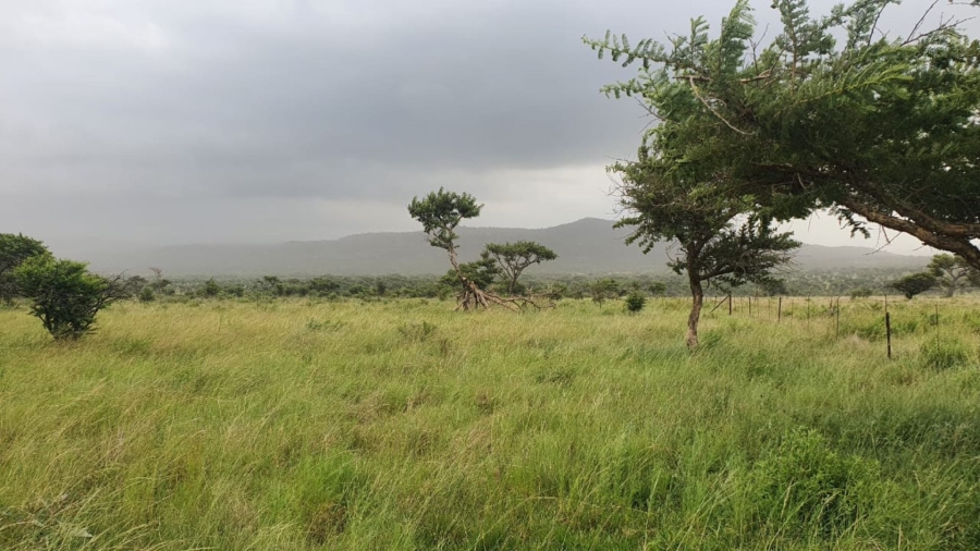 8 Bedroom Property for Sale in Dundee KwaZulu-Natal