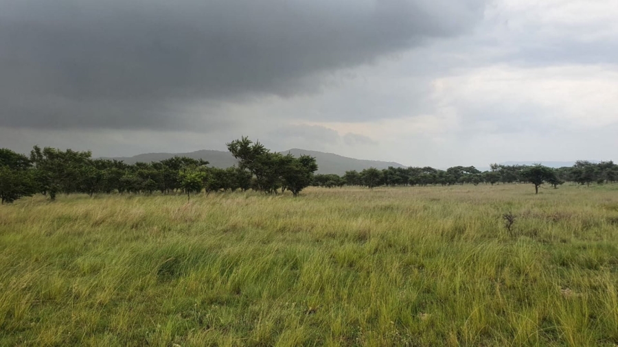 8 Bedroom Property for Sale in Dundee KwaZulu-Natal