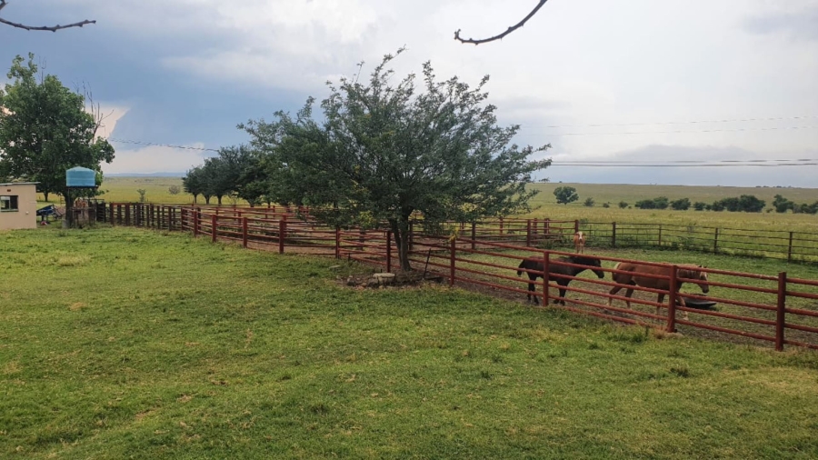 8 Bedroom Property for Sale in Dundee KwaZulu-Natal