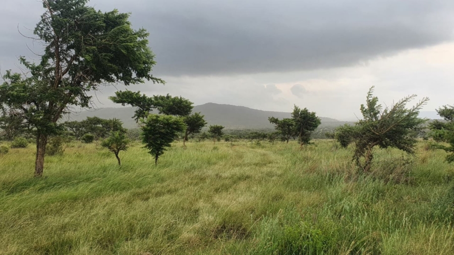 8 Bedroom Property for Sale in Dundee KwaZulu-Natal