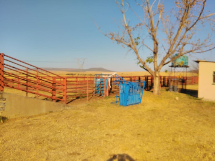 8 Bedroom Property for Sale in Dundee KwaZulu-Natal